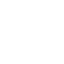PDF icon.